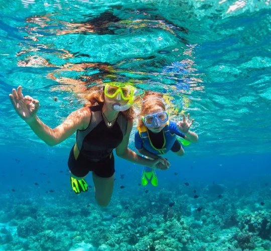 andaman tours