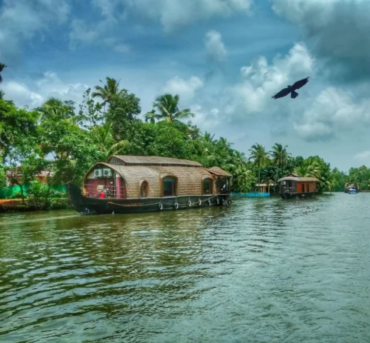 kerala tours